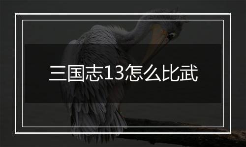 三国志13怎么比武