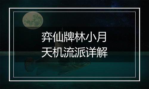弈仙牌林小月天机流派详解