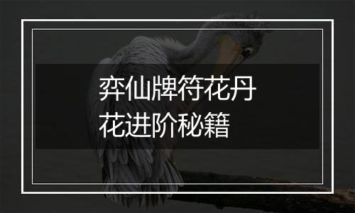 弈仙牌符花丹花进阶秘籍