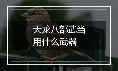 天龙八部武当用什么武器