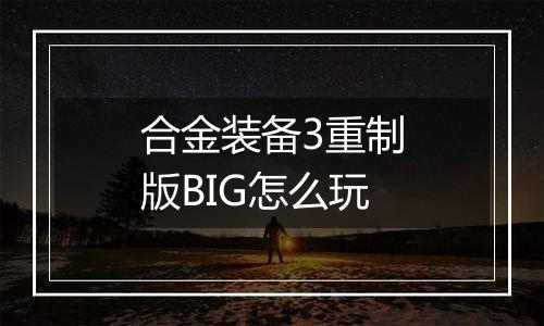 合金装备3重制版BIG怎么玩