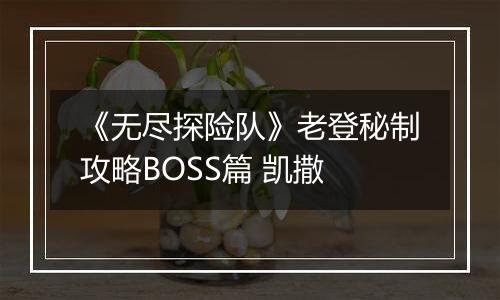 《无尽探险队》老登秘制攻略BOSS篇 凯撒