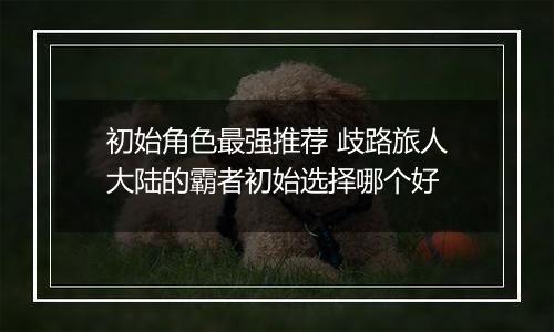 初始角色最强推荐 歧路旅人大陆的霸者初始选择哪个好