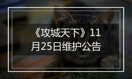 《攻城天下》11月25日维护公告