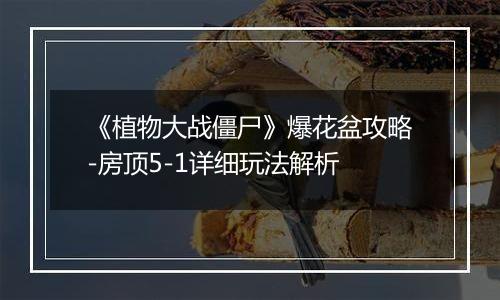 《植物大战僵尸》爆花盆攻略-房顶5-1详细玩法解析