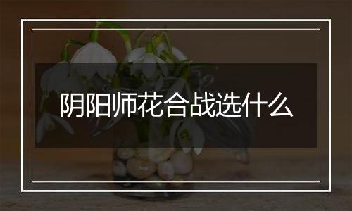 阴阳师花合战选什么