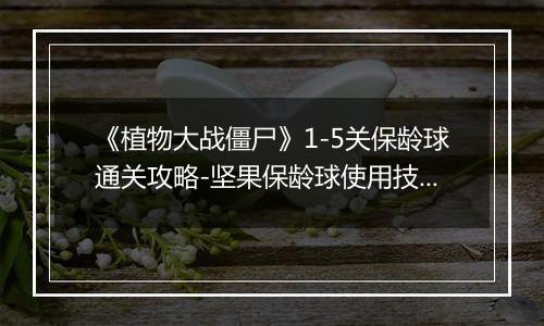 《植物大战僵尸》1-5关保龄球通关攻略-坚果保龄球使用技巧