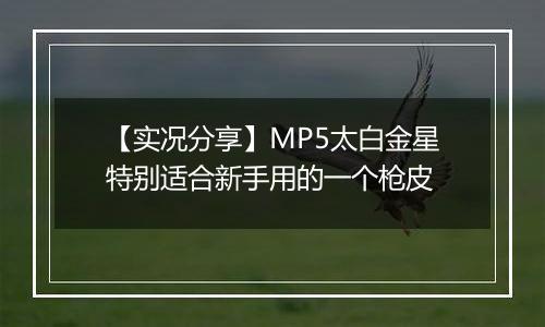 【实况分享】MP5太白金星特别适合新手用的一个枪皮
