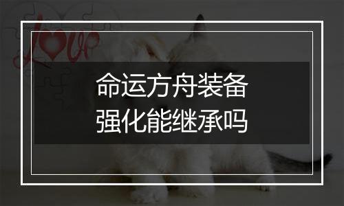 命运方舟装备强化能继承吗