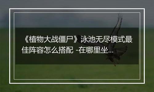 《植物大战僵尸》泳池无尽模式最佳阵容怎么搭配 -在哪里坐标