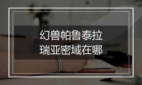 幻兽帕鲁泰拉瑞亚密域在哪