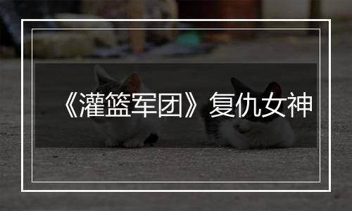 《灌篮军团》复仇女神