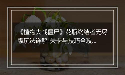《植物大战僵尸》花瓶终结者无尽版玩法详解-关卡与技巧全攻略