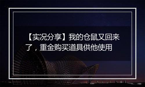 【实况分享】我的仓鼠又回来了，重金购买道具供他使用
