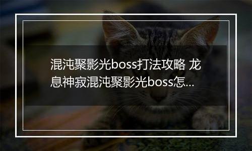 混沌聚影光boss打法攻略 龙息神寂混沌聚影光boss怎么打