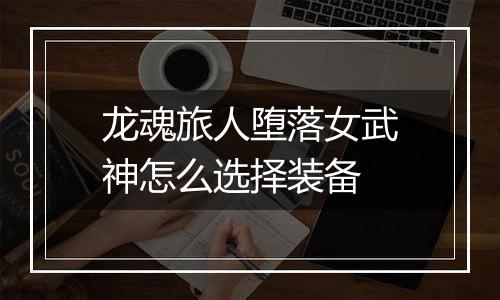 龙魂旅人堕落女武神怎么选择装备