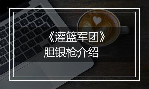 《灌篮军团》胆银枪介绍