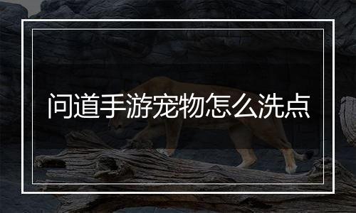 问道手游宠物怎么洗点