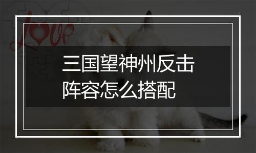 三国望神州反击阵容怎么搭配
