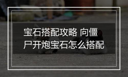 宝石搭配攻略 向僵尸开炮宝石怎么搭配