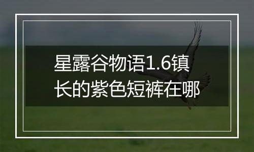 星露谷物语1.6镇长的紫色短裤在哪