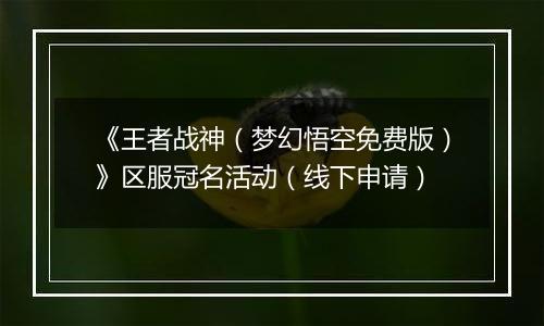 《王者战神（梦幻悟空免费版）》区服冠名活动（线下申请）