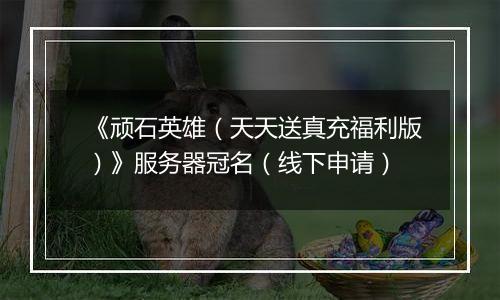 《顽石英雄（天天送真充福利版）》服务器冠名（线下申请）
