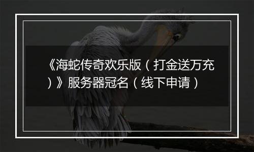 《海蛇传奇欢乐版（打金送万充）》服务器冠名（线下申请）