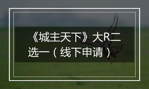 《城主天下》大R二选一（线下申请）
