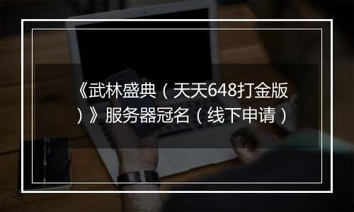 《武林盛典（天天648打金版）》服务器冠名（线下申请）