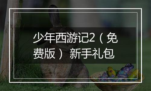 少年西游记2（免费版） 新手礼包