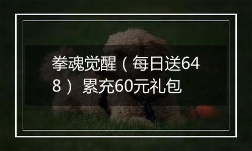 拳魂觉醒（每日送648） 累充60元礼包