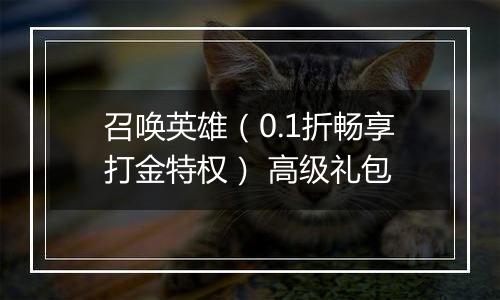 召唤英雄（0.1折畅享打金特权） 高级礼包