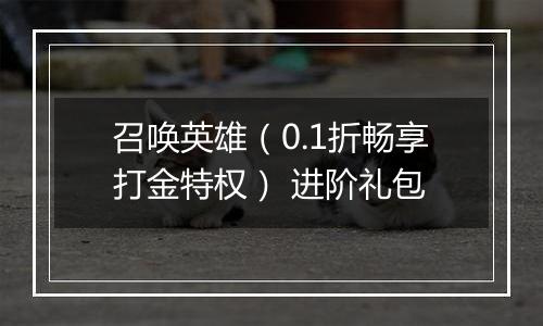 召唤英雄（0.1折畅享打金特权） 进阶礼包