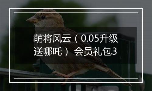 萌将风云（0.05升级送哪吒） 会员礼包3