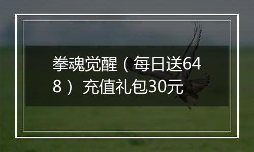 拳魂觉醒（每日送648） 充值礼包30元