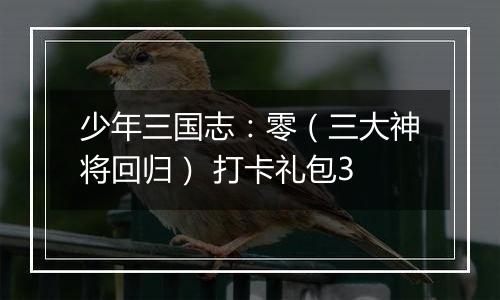 少年三国志：零（三大神将回归） 打卡礼包3