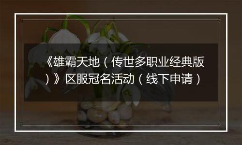 《雄霸天地（传世多职业经典版）》区服冠名活动（线下申请）