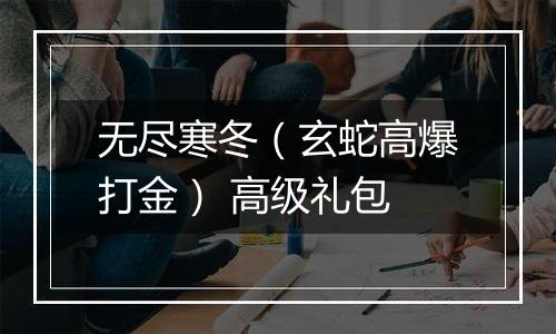 无尽寒冬（玄蛇高爆打金） 高级礼包
