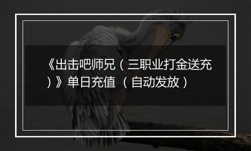 《出击吧师兄（三职业打金送充）》单日充值 （自动发放）